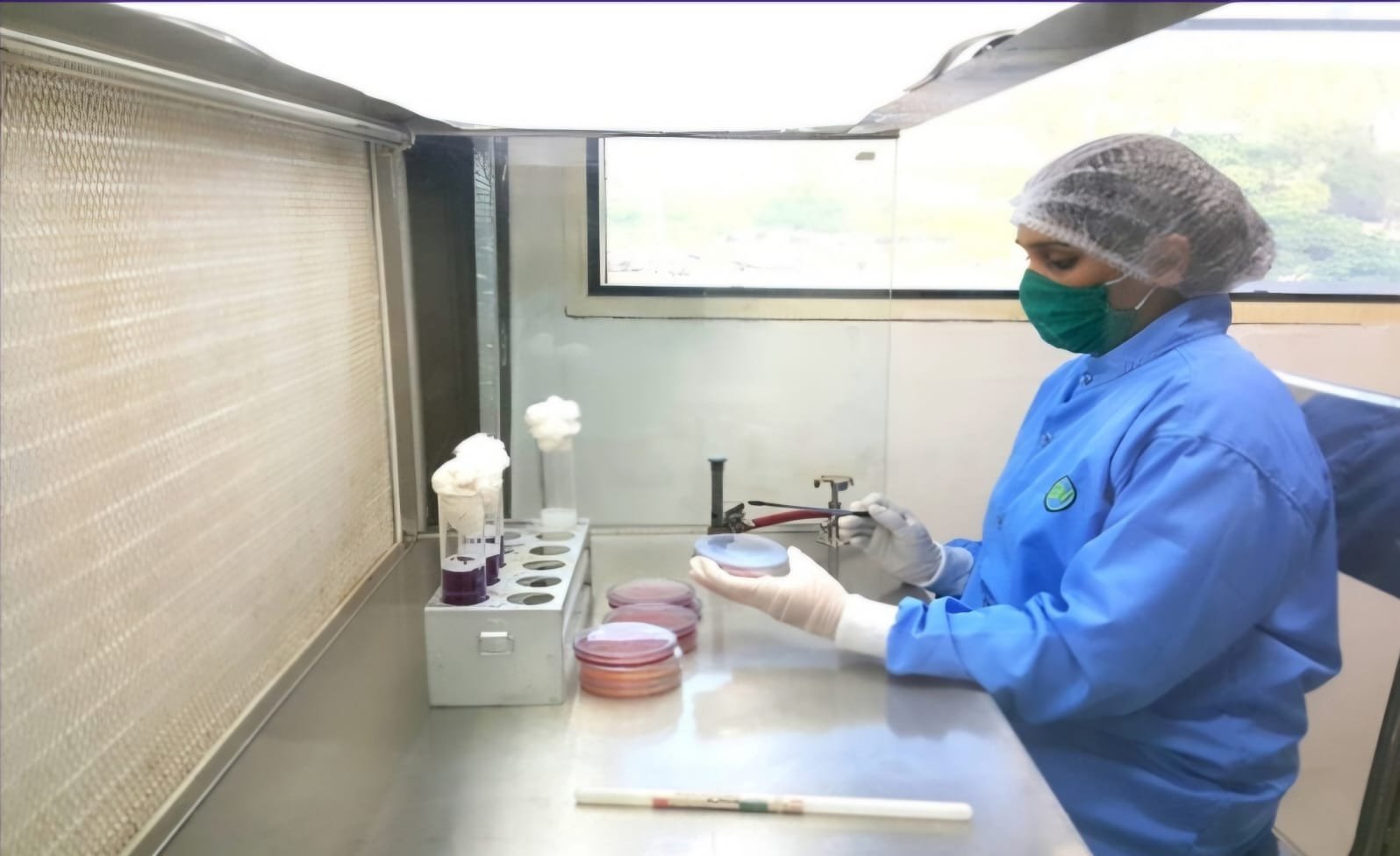 Microbiology ( Micro ) DEPARTMENT